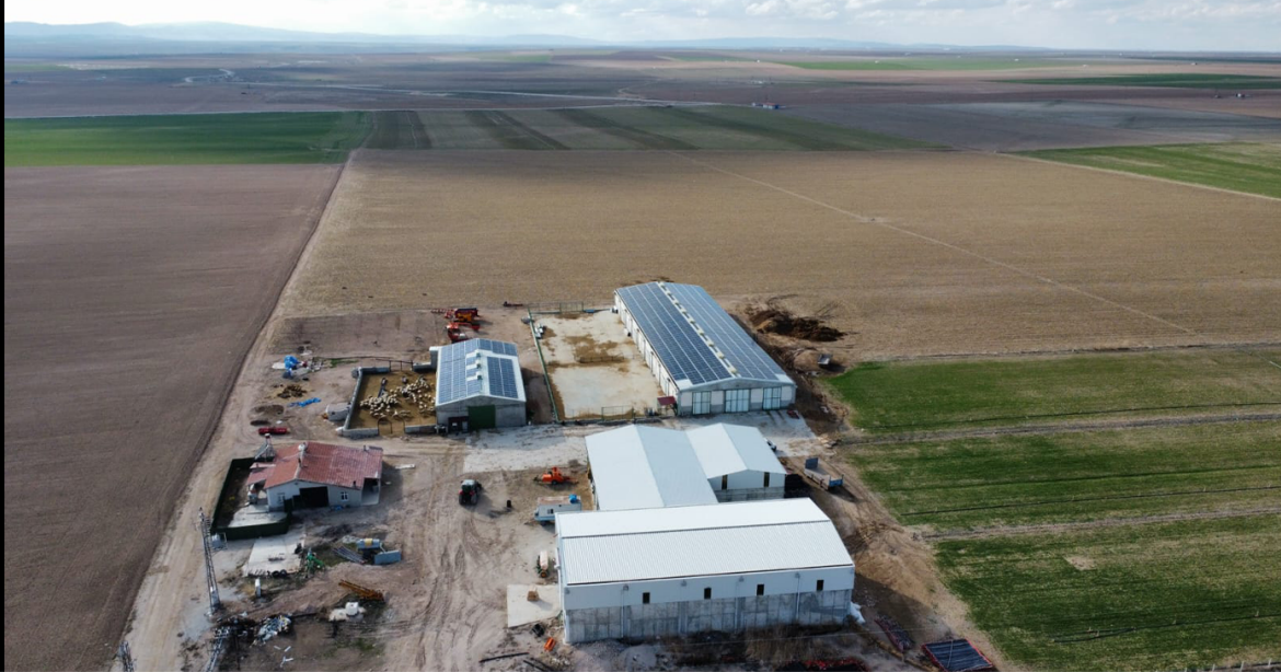Okumuş Hayvancılık